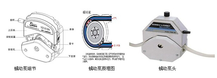 蠕動泵半自動液體灌裝機細節(jié)